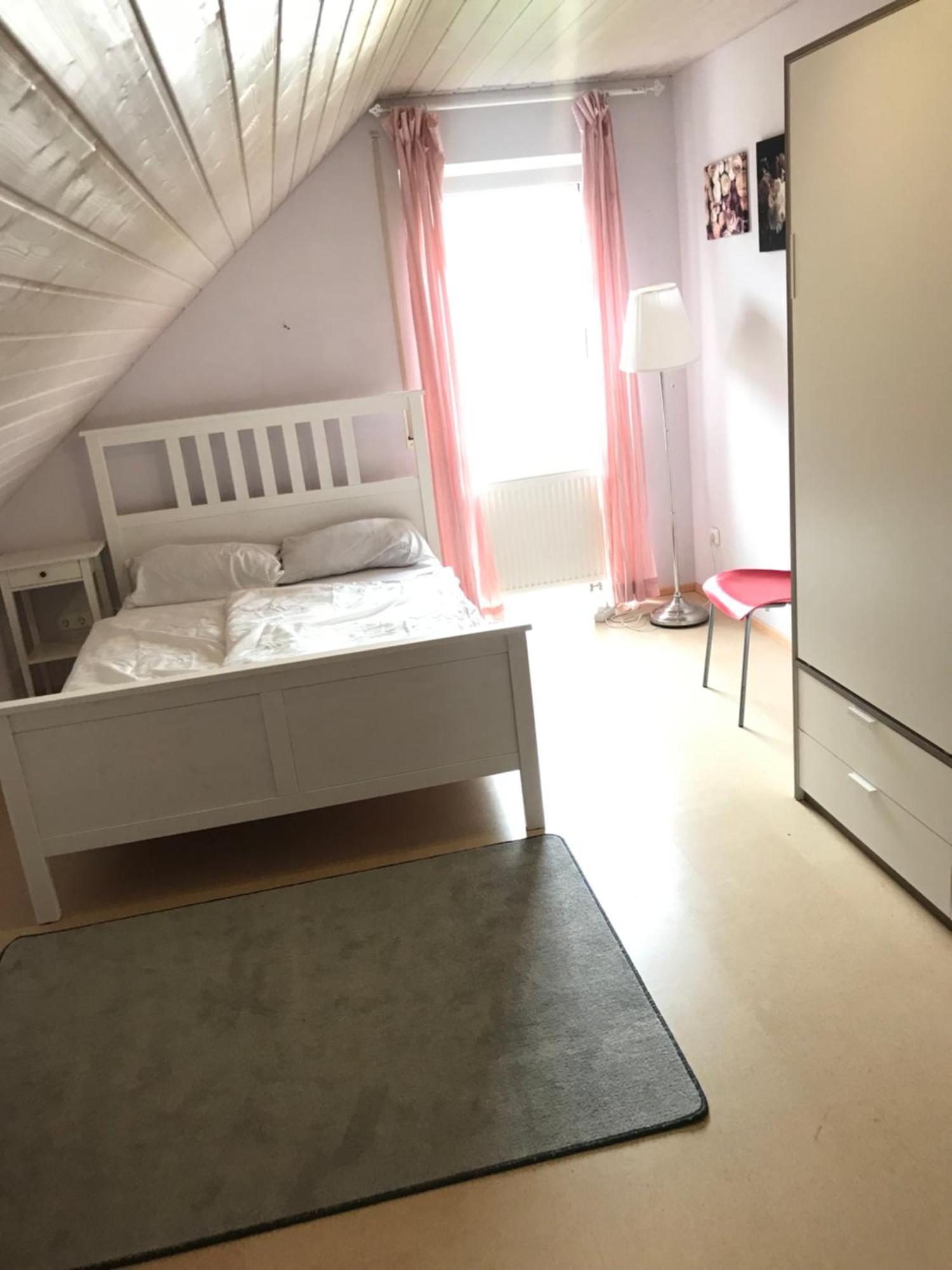 金茨堡House With Castle View & Art公寓 外观 照片